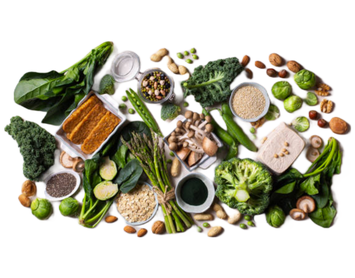 Plant-Based and Vegetarian Diets