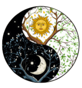 The Dance of Duality: Embracing the Law of Opposites