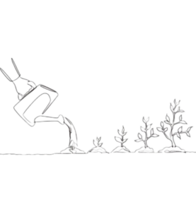 The Unseen Harvest: Nurturing the Garden of Self-Improvement
