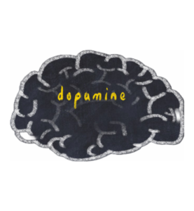 Exploring the Dopamine Pathways