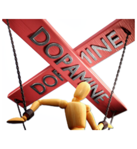 What is dopamine, and why is it important?